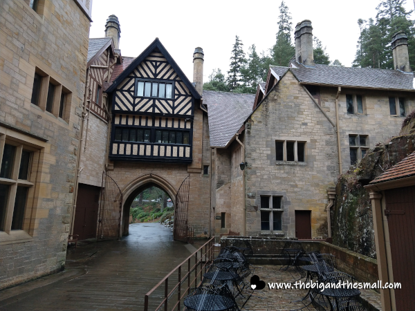 Courtyard of the house.png