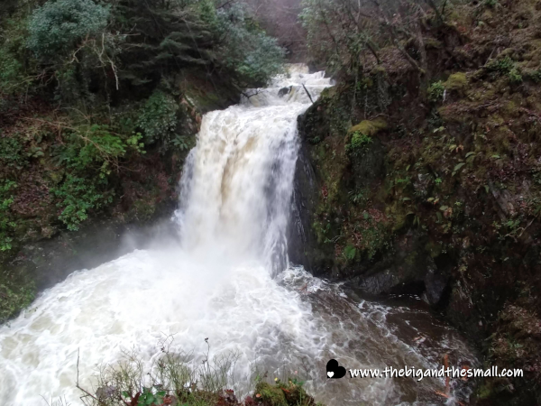 Devil Bridge Falls.png