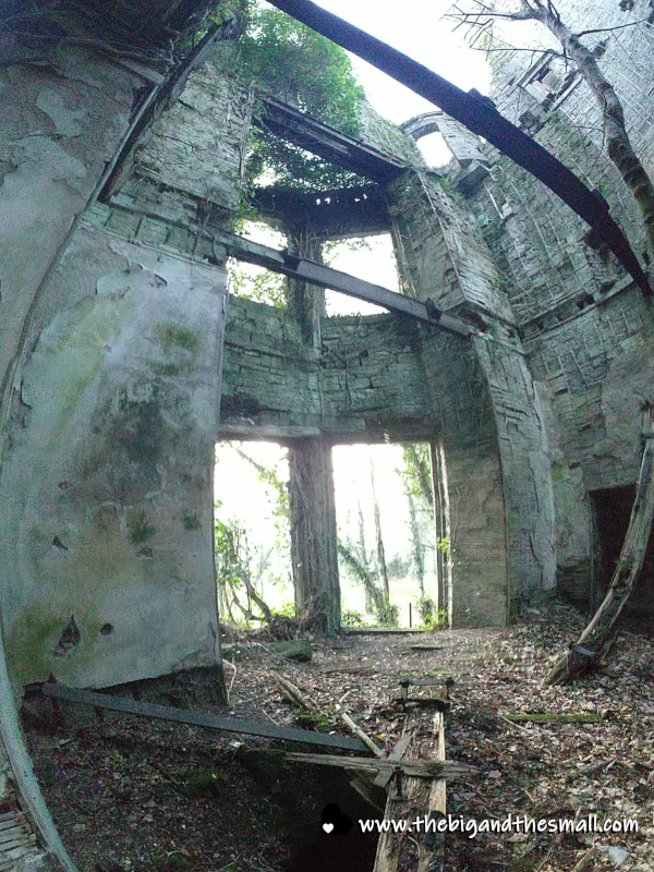 Inside the Castle.png