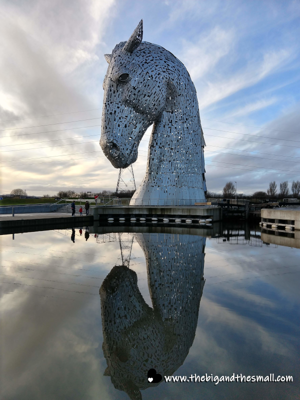 Kelpie with reflection.png