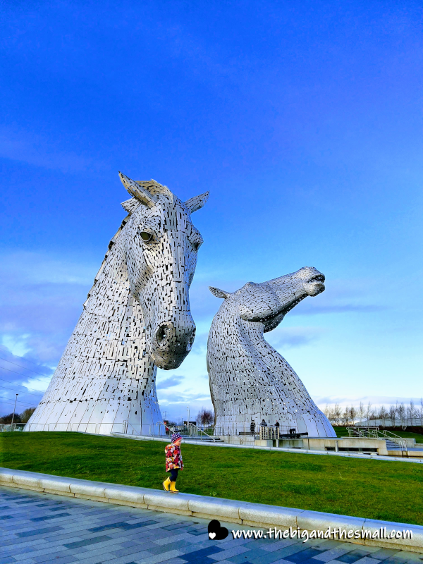 Kelpies in the sun.png