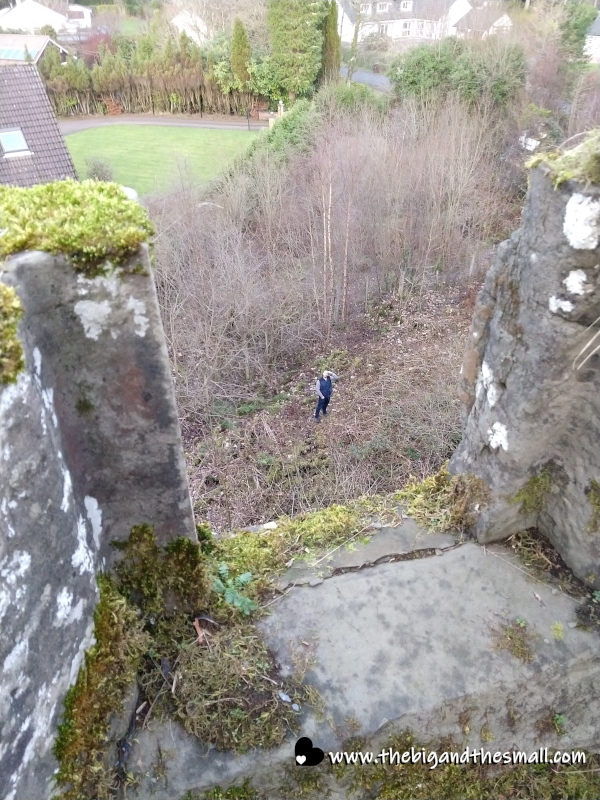 Looking down at Steve.png