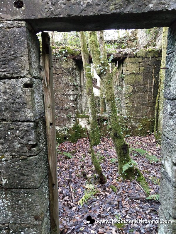 Nature reclaiming the castle.png