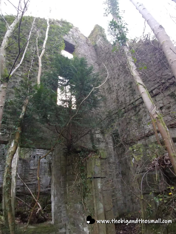 Trees in the castle.png