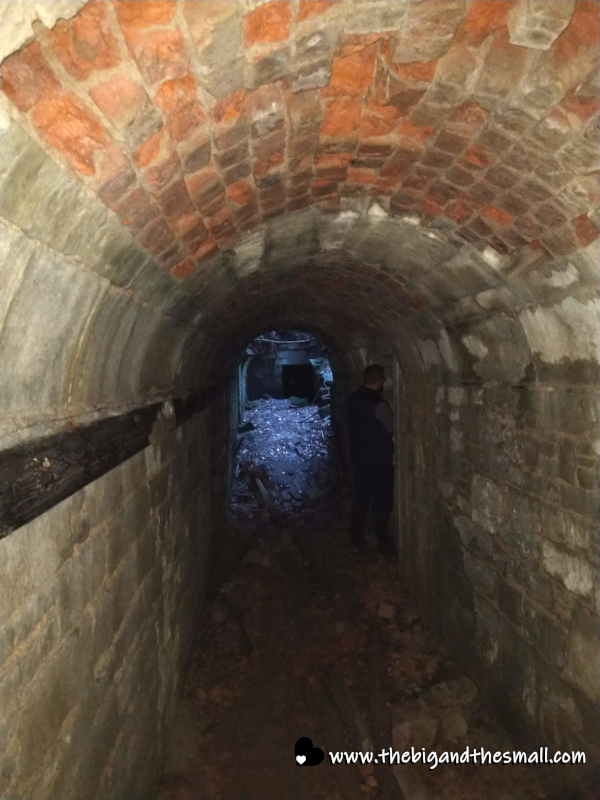 Tunnel in the basment.png