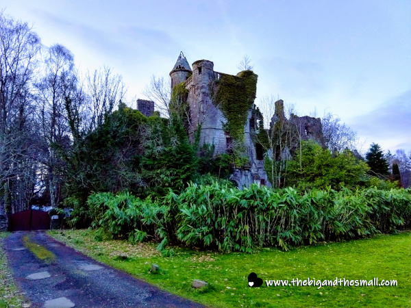 Turrets of the castle.png