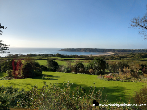 View from the window.png