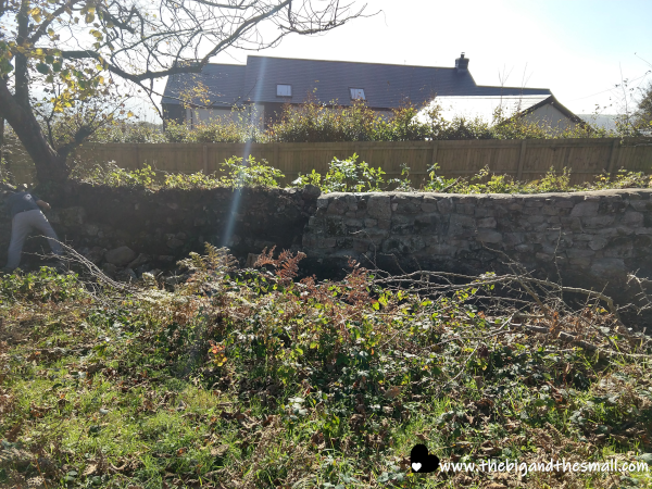 Wall reconstruction.png