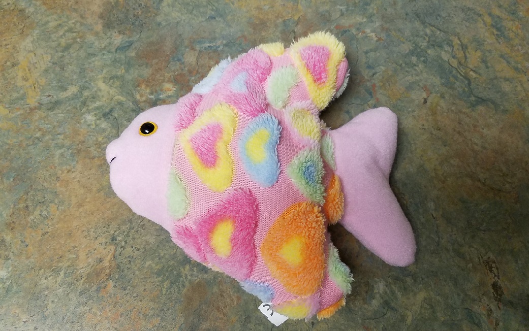 Rainbow fish